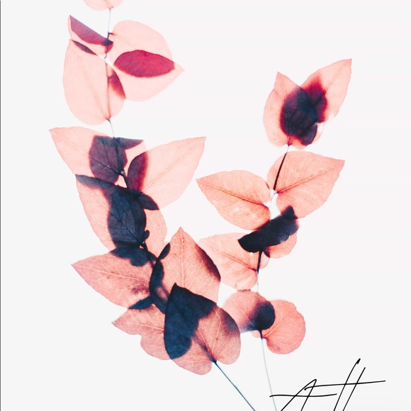 Meet your Posher, Kelsey - Picture 1 of 1